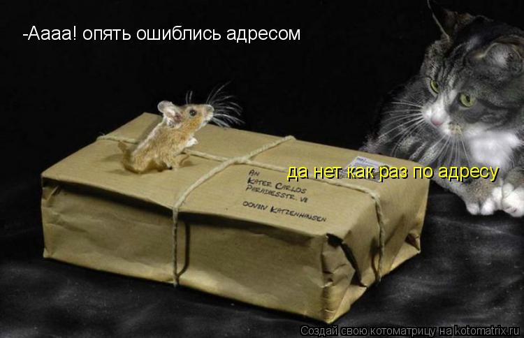 Котоматрица: -Аааа! опять ошиблись адресом да нет как раз по адресу