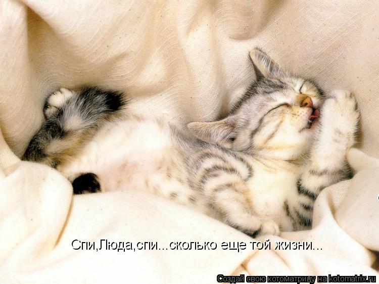 Котоматрица: Спи,Люда,спи...сколько еще той жизни... Спи,Люда,спи...сколько еще той жизни...