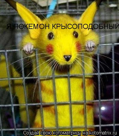 Котоматрица: Я ПОКЕМОН КРЫСОПОДОБНЫЙ