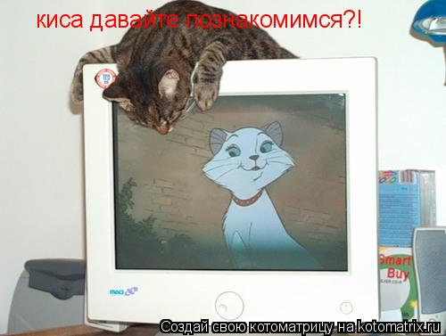 киса давайте познакомимся?!... Котоматрица: киса давайте познакомимся?!