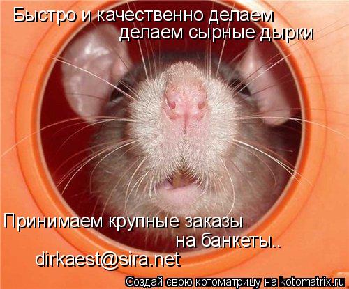 Быстро и качественно делаем Принимаем крупные заказы на банкеты.. делаем сырные дырки dirkaest@sira... Котоматрица: Быстро и качественно делаем Принимаем крупные заказы на банкеты.. делаем сырные дырки dirkaest@sira.net