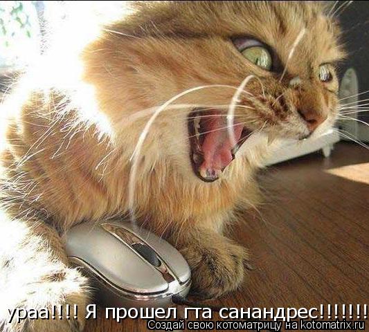Котоматрица: ураа!!!! Я прошел гта санандрес!!!!!!!!!!!