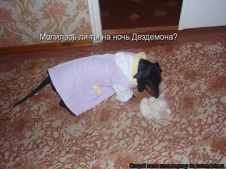 Котоматрица: Молилась ли ты на ночь,Дездемона?