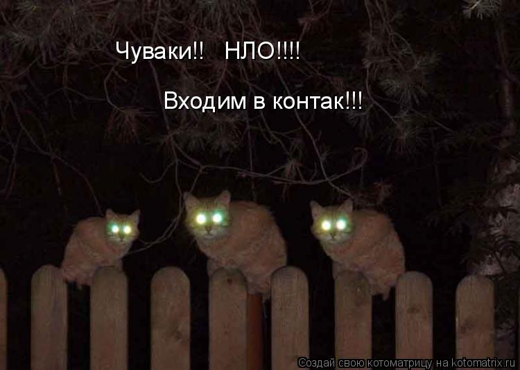 Чуваки!! НЛО!!!! Входим в контак!!!... Котоматрица: Чуваки!! НЛО!!!! Входим в контак!!!