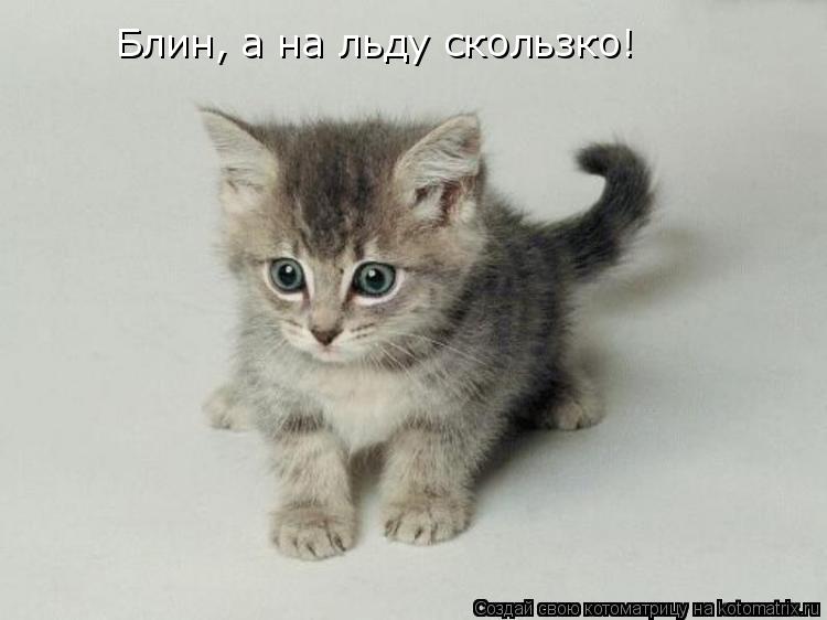 Котоматрица: Блин, а на льду скользко!