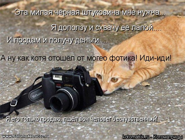Котоматрица: Эта милая чёрная штуковина мне нужна... Я доползу и схвачу её лапой.... И продам и получу деньги.... А ну как котя отошёл от могео фотика! Иди-иди!