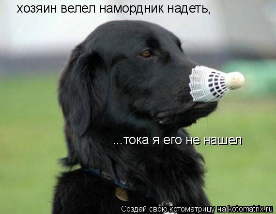 Котоматрица: хозяин велел намордник надеть, ...тока я его не нашел