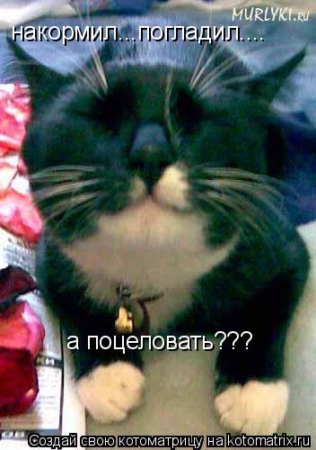 Котоматрица: накормил...погладил.... а поцеловать???
