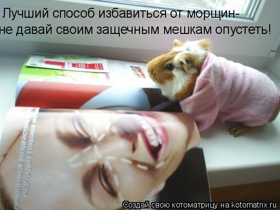 Лучший способ избавиться от морщин- не давай своим защечным мешкам опустеть!... Котоматрица: Лучший способ избавиться от морщин- не давай своим защечным мешкам опустеть!