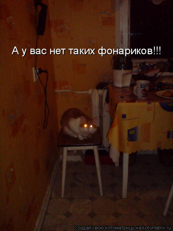 Котоматрица: А у вас нет таких фонариков!!!