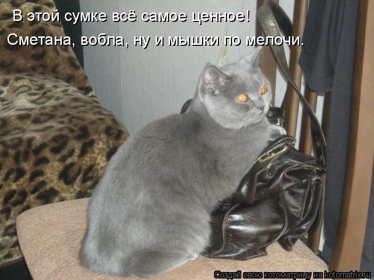 В этой сумке всё самое ценное! Сметана, вобла, ну и мышки по мелочи.... Котоматрица: В этой сумке всё самое ценное! Сметана, вобла, ну и мышки по мелочи.