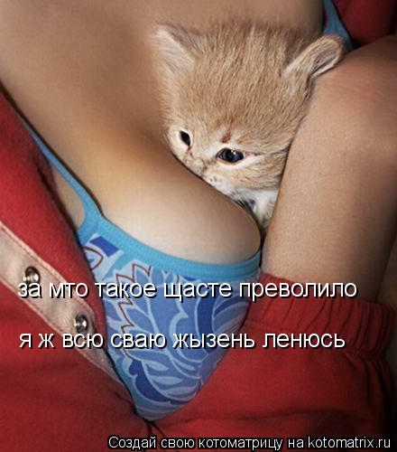 Котоматрица: за мто такое щасте преволило я ж всю сваю жызень ленюсь