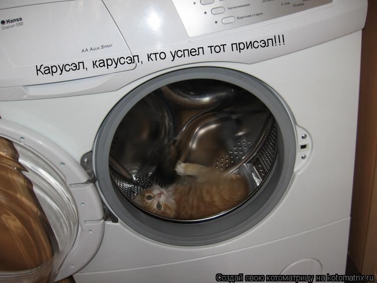 Котоматрица: Карусэл, карусэл, кто успел тот присэл!!!