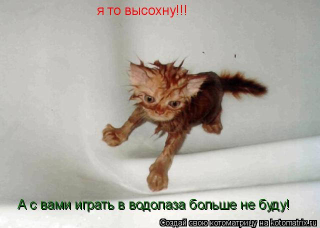 я то высохну!!! А с вами играть в водолаза больше не буду!... Котоматрица: я то высохну!!! А с вами играть в водолаза больше не буду!
