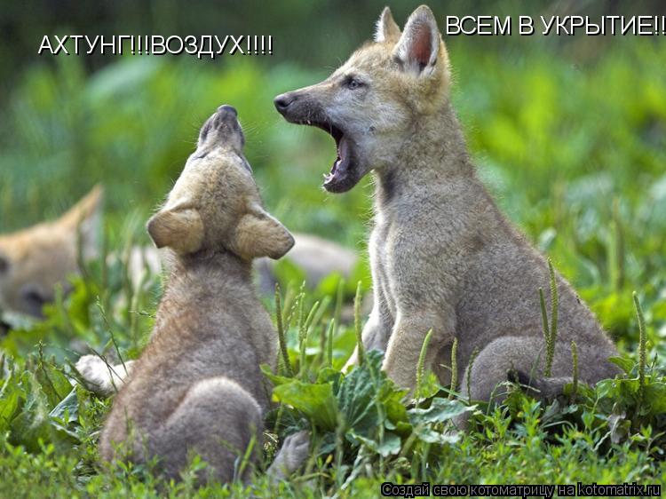 АХТУНГ!!!ВОЗДУХ!!!! ВСЕМ В УКРЫТИЕ!!!!... Котоматрица: АХТУНГ!!!ВОЗДУХ!!!! ВСЕМ В УКРЫТИЕ!!!!