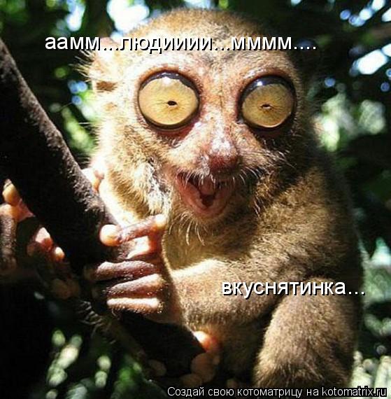 Котоматрица: аамм...людииии...мммм.... вкуснятинка...