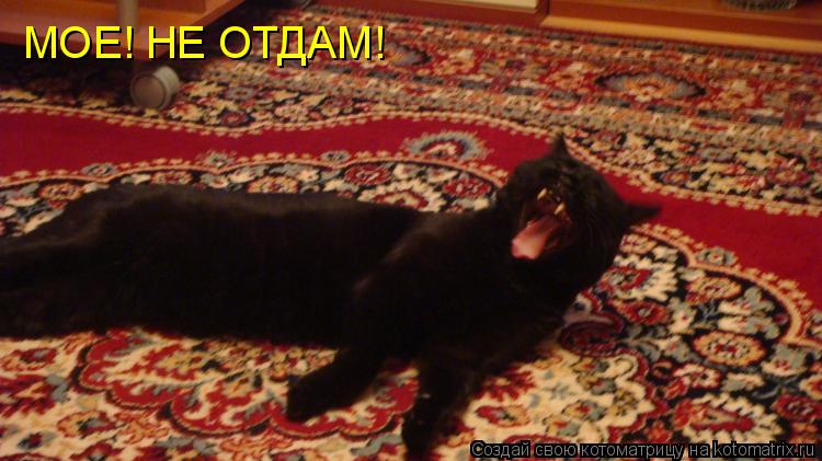 МОЕ! НЕ ОТДАМ!... Котоматрица: МОЕ! НЕ ОТДАМ!