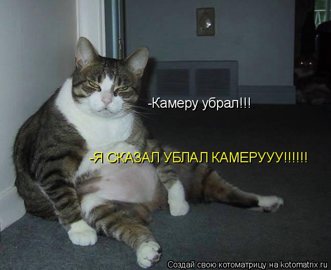-Камеру убрал!!! -Я СКАЗАЛ УБЛАЛ КАМЕРУУУ!!!!!!... Котоматрица: -Камеру убрал!!! -Я СКАЗАЛ УБЛАЛ КАМЕРУУУ!!!!!!