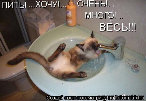 ПИТЬ! ...ХОЧУ!... ОЧЕНЬ!... МНОГО!... ВЕСЬ!!!... Котоматрица: ПИТЬ! ...ХОЧУ!... ОЧЕНЬ!... МНОГО!... ВЕСЬ!!!