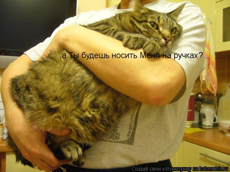 а Ты будешь носить Меня на ручках?...... Котоматрица: а Ты будешь носить Меня на ручках?...