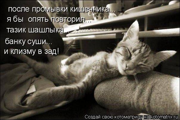 после промывки кишечника... я бы опять повторил... тазик шашлыка... банку суши... и клизму в зад!... Котоматрица: после промывки кишечника... я бы опять повторил... тазик шашлыка... банку суши... и клизму в зад!