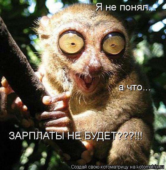 Я не понял... а что... ЗАРПЛАТЫ НЕ БУДЕТ???!!!... Котоматрица: Я не понял... а что... ЗАРПЛАТЫ НЕ БУДЕТ???!!!