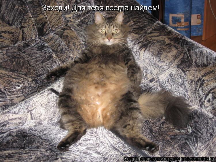 Заходи! Для тебя всегда найдем!... Котоматрица: Заходи! Для тебя всегда найдем!