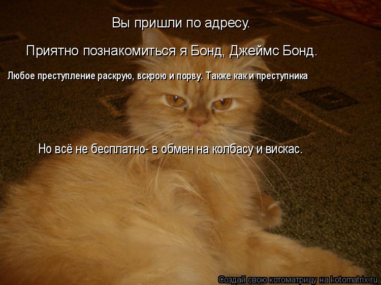 Вы пришли по адресу. Приятно познакомиться я Бонд, Джеймс Бонд. Любое преступление раскрую, вскрою и ... Котоматрица: Вы пришли по адресу. Приятно познакомиться я Бонд, Джеймс Бонд. Любое преступление раскрую, вскрою и порву. Также как и преступника Но всё не