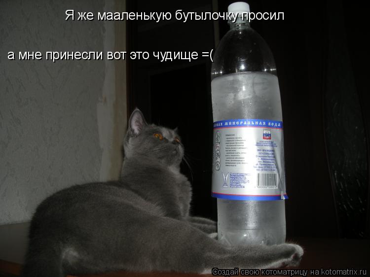 Котоматрица: Я же мааленькую бутылочку просил а мне принесли вот это чудище =(