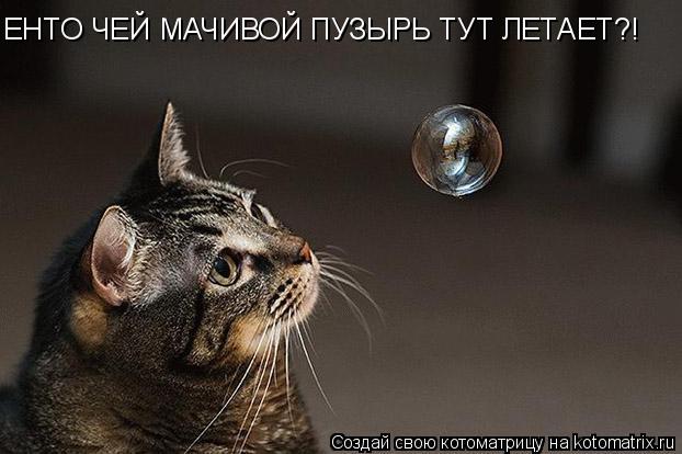 ЕНТО ЧЕЙ МАЧИВОЙ ПУЗЫРЬ ТУТ ЛЕТАЕТ?!... Котоматрица: ЕНТО ЧЕЙ МАЧИВОЙ ПУЗЫРЬ ТУТ ЛЕТАЕТ?!
