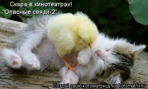 Котоматрица: Скоро в кинотеатрах! "Опасные связи-2"