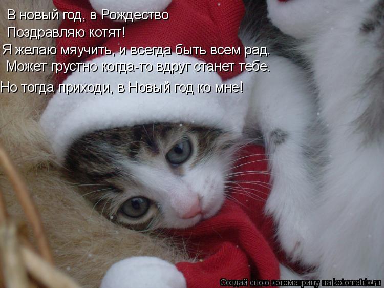 В новый год, в Рождество Поздравляю котят! Я желаю мяучить, и всегда быть всем рад. Может грустно ког... Котоматрица: В новый год, в Рождество Поздравляю котят! Я желаю мяучить, и всегда быть всем рад. Может грустно когда-то вдруг станет тебе. Но тогда приходи