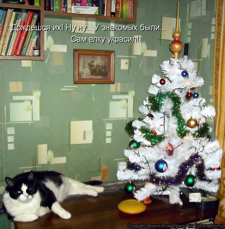 Дождешся их! Ну ну... У знакомых были... Сам елку украсил!!... Котоматрица: Дождешся их! Ну ну... У знакомых были... Сам елку украсил!!