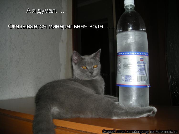 Котоматрица: А я думал...... Оказывается минеральная вода.........