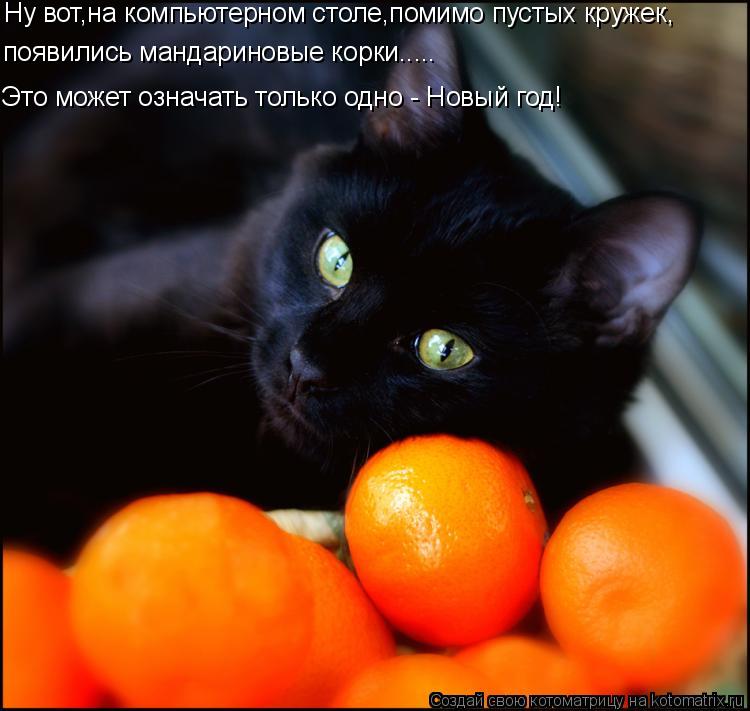 Котоматрица: Ну вот,на компьютерном столе,помимо пустых кружек, Это может означать только одно - Новый год! появились мандариновые корки.....