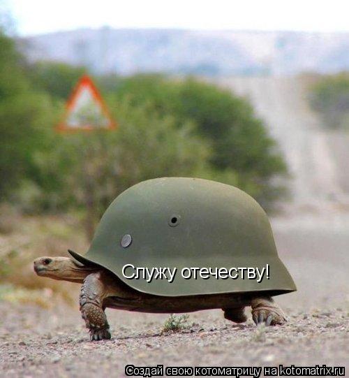 Котоматрица: Служу отечеству!