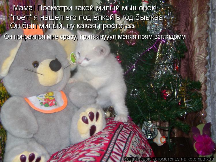 Мама! Посмотри какой милый мышонок! *поёт* я нашёл его под ёлкой в год быыкаа Он был милый, ну какая ... Котоматрица: Мама! Посмотри какой милый мышонок! *поёт* я нашёл его под ёлкой в год быыкаа Он был милый, ну какая простотаа Он понраился мне сразу, притяян