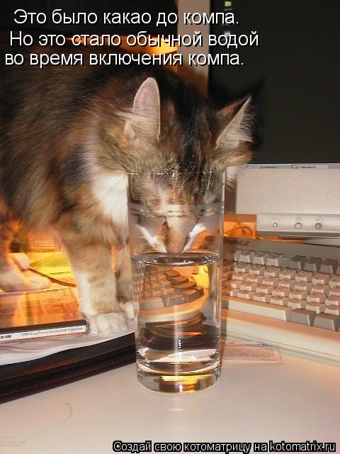 Это было какао до компа. Но это стало обычной водой во время включения компа.... Котоматрица: Это было какао до компа. Но это стало обычной водой во время включения компа.
