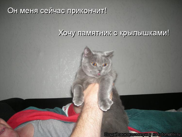 Котоматрица: Он меня сейчас прикончит! Хочу памятник с крылышками!