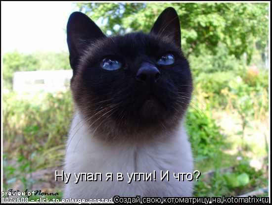 Котоматрица: Ну упал я в угли! И что?