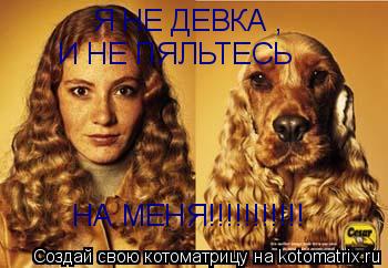 Котоматрица: Я НЕ ДЕВКА ,  И НЕ ПЯЛЬТЕСЬ  НА МЕНЯ!!!!!!!!!!!
