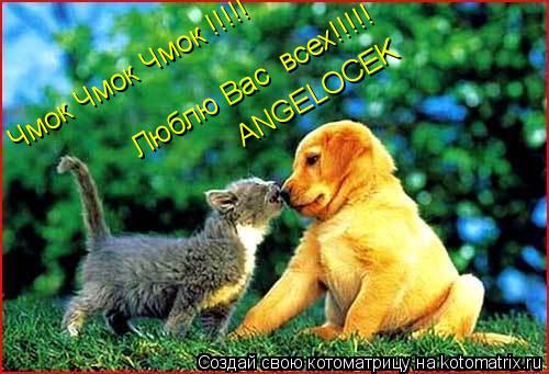 Чмок Чмок Чмок !!!!! Люблю Вас всех!!!!! ANGELOCEK... Котоматрица: Чмок Чмок Чмок !!!!! Люблю Вас всех!!!!! ANGELOCEK