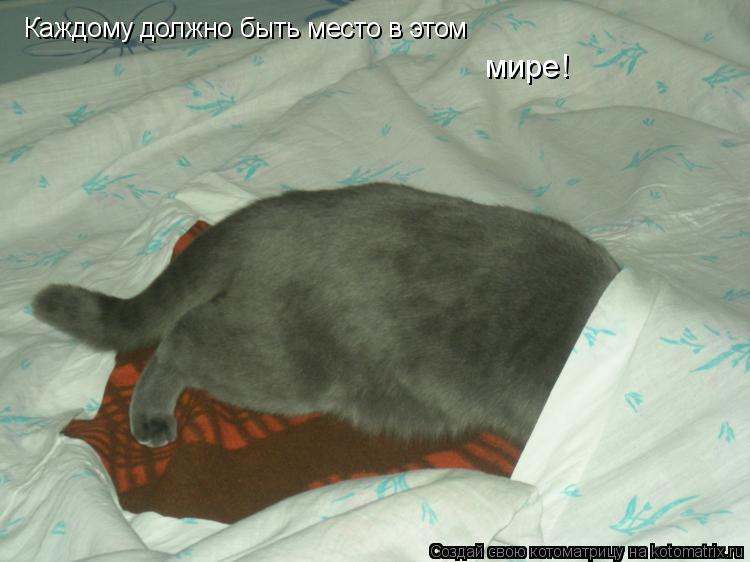 Котоматрица: Каждому должно быть место в этом  мире!
