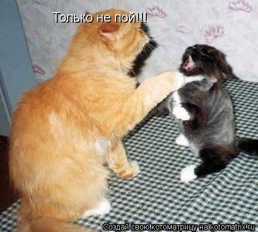 Котоматрица: Только не пой!!!