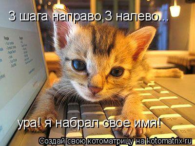 3 шага направо,3 налево... ура! я набрал свое имя!... Котоматрица: 3 шага направо,3 налево... ура! я набрал свое имя!
