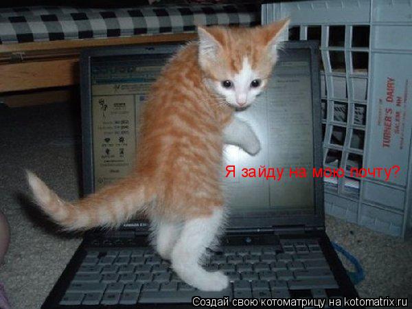 Я зайду на мою почту?... Котоматрица: Я зайду на мою почту?