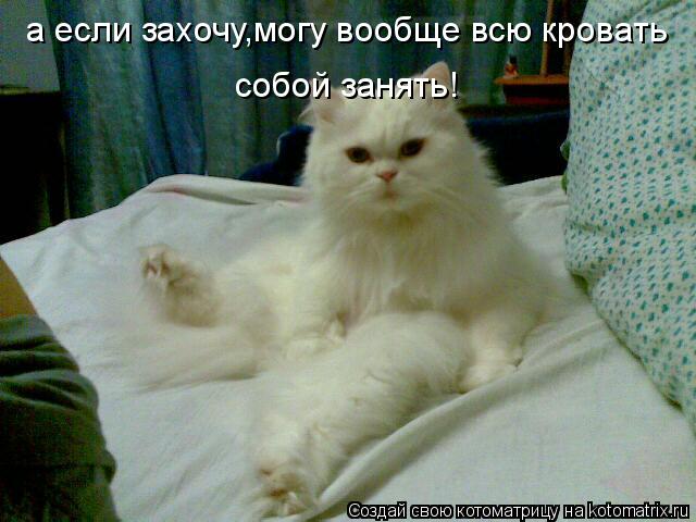 а если захочу,могу вообще всю кровать собой занять!... Котоматрица: а если захочу,могу вообще всю кровать собой занять!