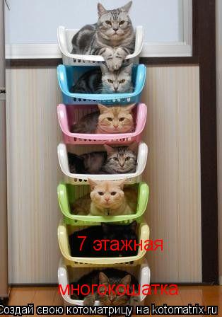 многокошатка 7 этажная... Котоматрица: многокошатка 7 этажная