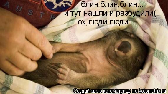Котоматрица: блин,блин,блин... и тут нашли и разбудили( ох,люди люди...