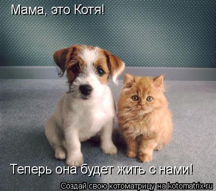 Котоматрица: Мама, это Котя! Теперь она будет жить с нами!